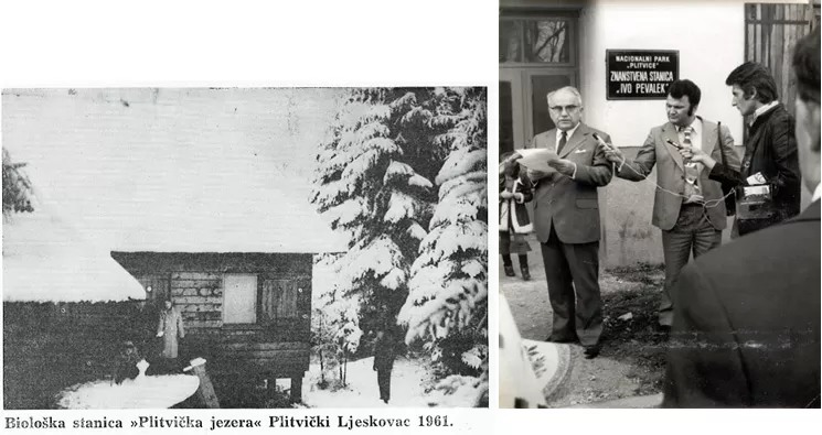 Ivo Pevalek