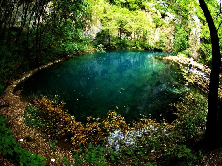 Državni inspektorat zatvorio projekt hidroelektrane na Uni