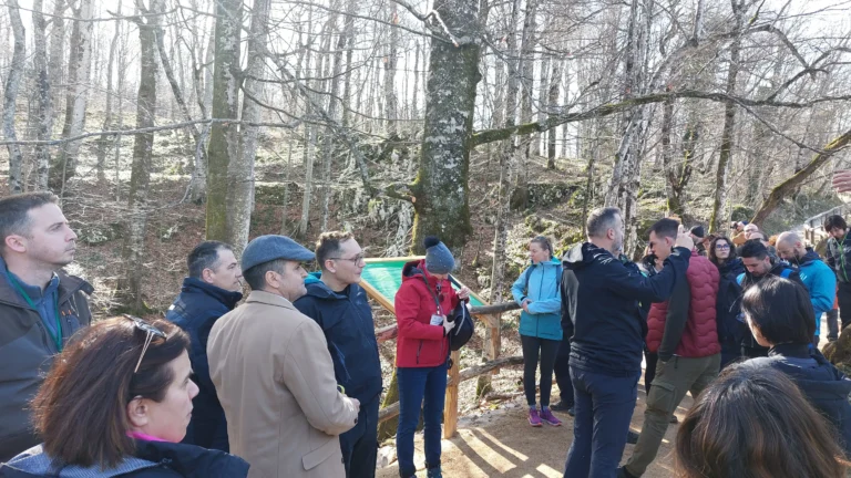 Stručni skup „Osjeti puls šume“: Inovativni pristupi u očuvanju šumskih ekosustava