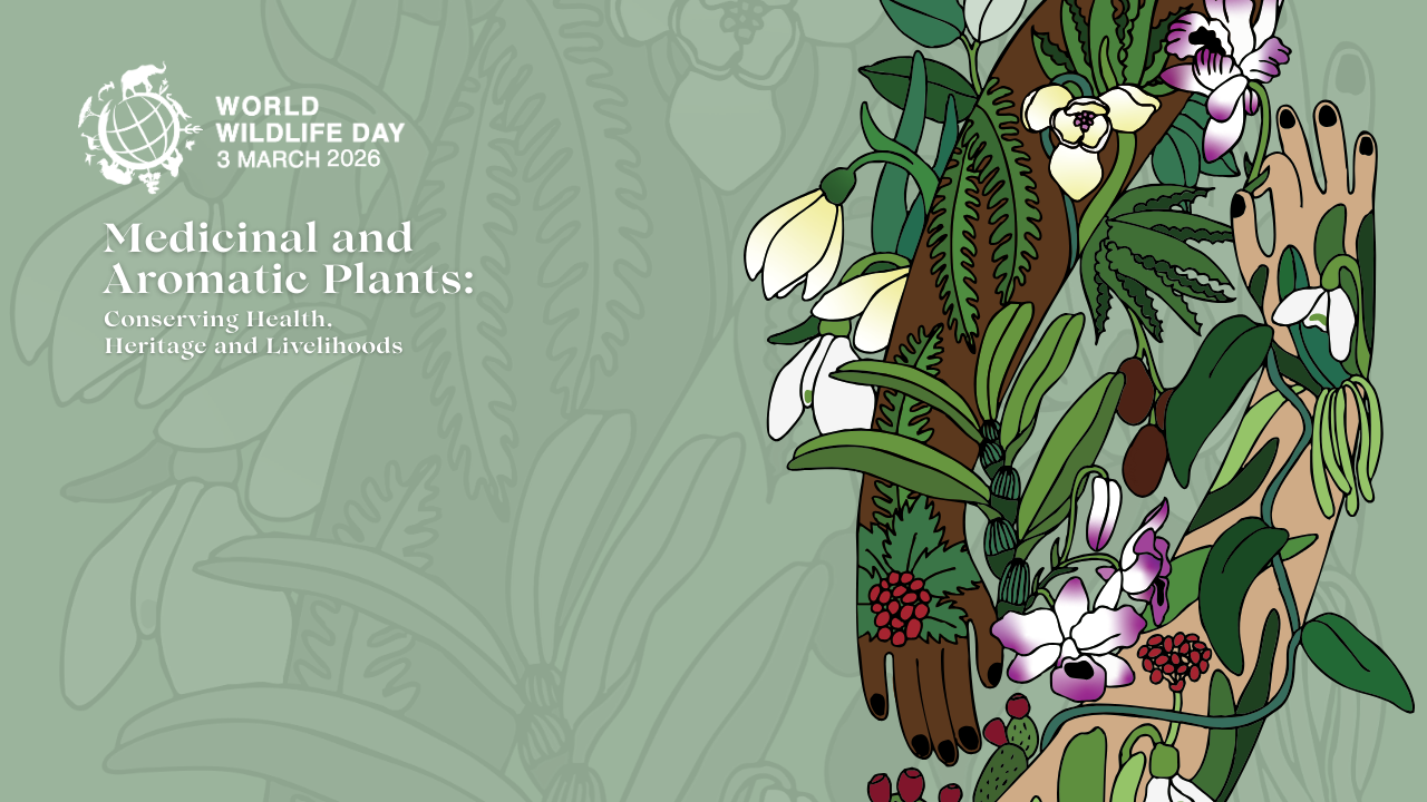 Svjetski dan divljih vrsta 2026.