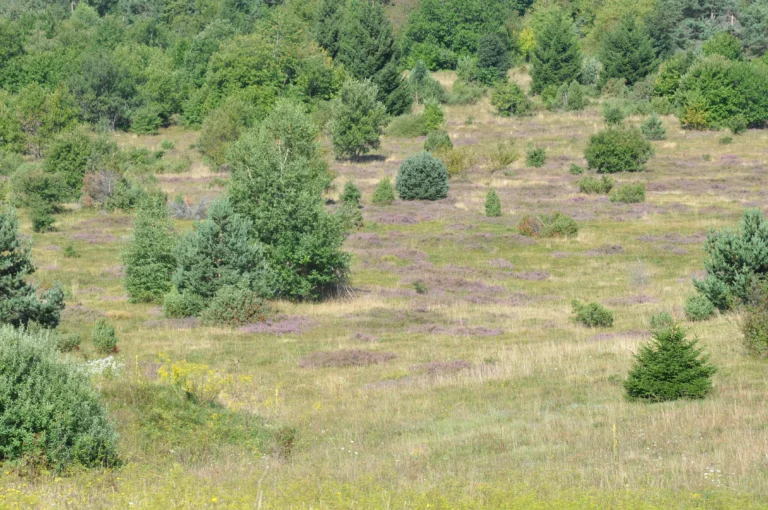Nacionalni park pozvao vlasnike zemljišta na zaštitu vrijednih staništa: Obuhvaćeno više od 600 hektara