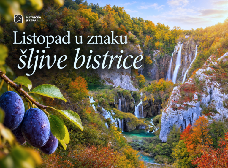 Šljiva bistrica u glavnoj ulozi na Plitvicama: Pogledajte posebne listopadske menije od 19 eura